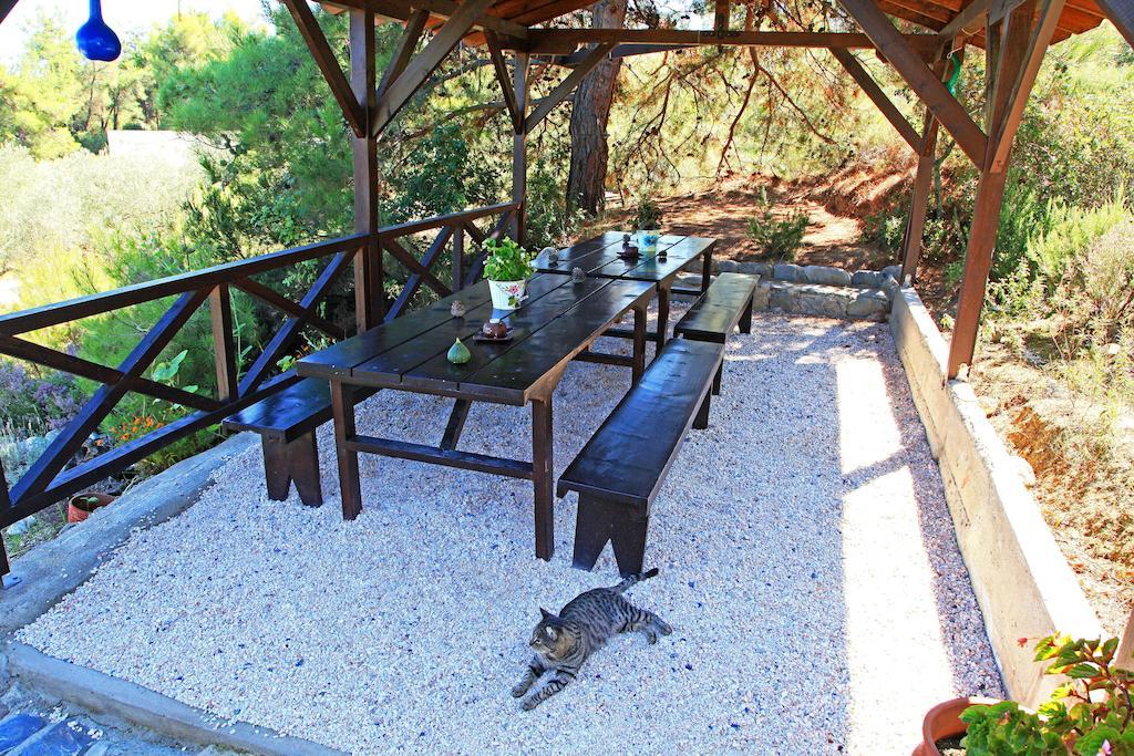 Dionysus Apartments & Suites Ierissós Luaran gambar